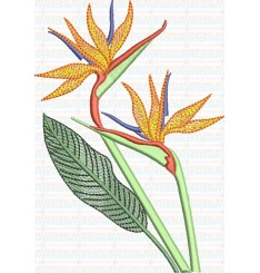 Matriz de Bordado Estrelícia/Bico de Pato Matriz de Bordado Estrelícia/Bico de Pato